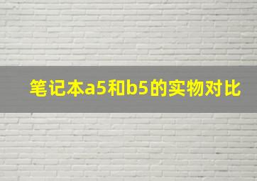 笔记本a5和b5的实物对比