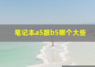 笔记本a5跟b5哪个大些