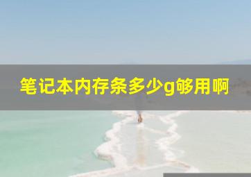 笔记本内存条多少g够用啊