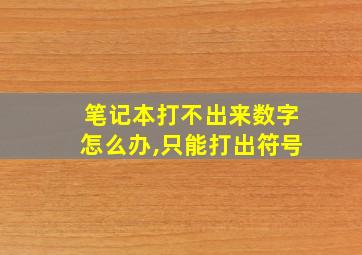 笔记本打不出来数字怎么办,只能打出符号