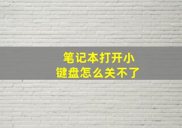 笔记本打开小键盘怎么关不了