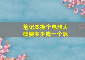 笔记本换个电池大概要多少钱一个呢