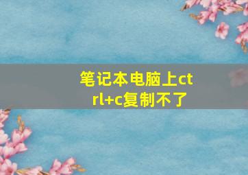 笔记本电脑上ctrl+c复制不了