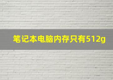 笔记本电脑内存只有512g