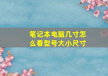 笔记本电脑几寸怎么看型号大小尺寸