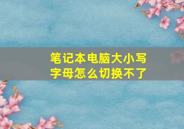 笔记本电脑大小写字母怎么切换不了