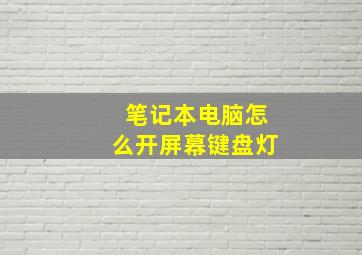 笔记本电脑怎么开屏幕键盘灯