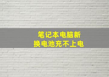 笔记本电脑新换电池充不上电