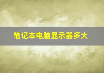 笔记本电脑显示器多大