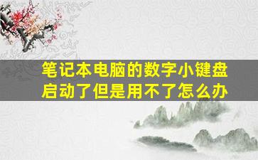 笔记本电脑的数字小键盘启动了但是用不了怎么办