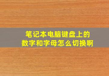 笔记本电脑键盘上的数字和字母怎么切换啊