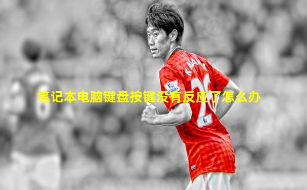 笔记本电脑键盘按键没有反应了怎么办