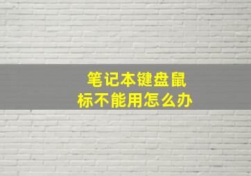 笔记本键盘鼠标不能用怎么办