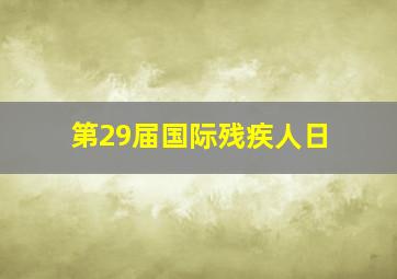 第29届国际残疾人日