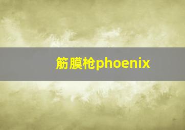 筋膜枪phoenix