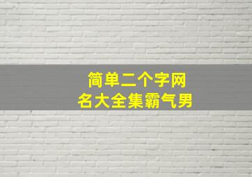 简单二个字网名大全集霸气男