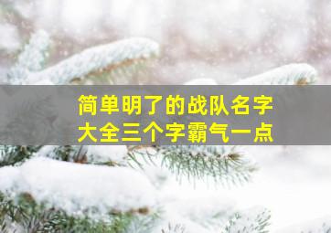 简单明了的战队名字大全三个字霸气一点