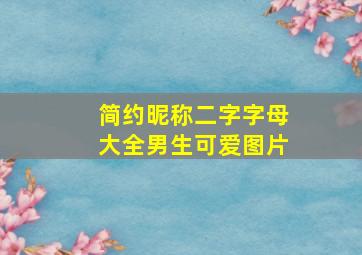 简约昵称二字字母大全男生可爱图片