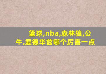 篮球,nba,森林狼,公牛,爱德华兹哪个厉害一点