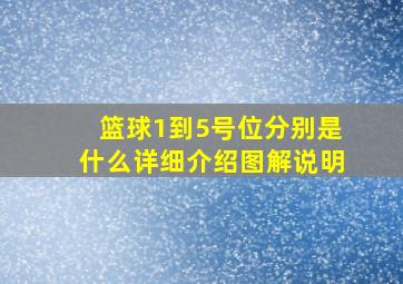 篮球1到5号位分别是什么详细介绍图解说明