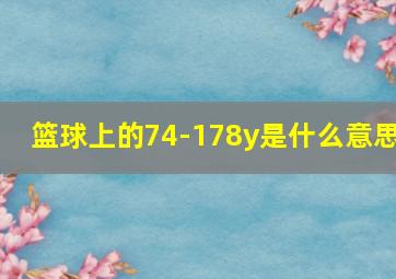 篮球上的74-178y是什么意思