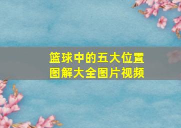 篮球中的五大位置图解大全图片视频