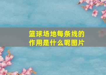 篮球场地每条线的作用是什么呢图片