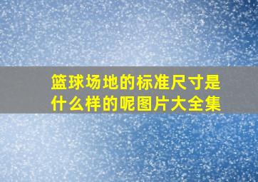 篮球场地的标准尺寸是什么样的呢图片大全集