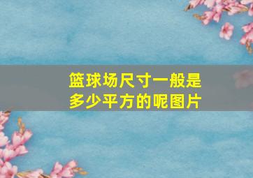 篮球场尺寸一般是多少平方的呢图片