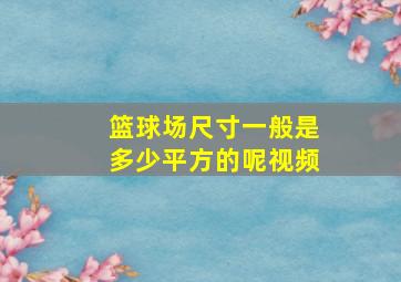 篮球场尺寸一般是多少平方的呢视频