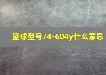 篮球型号74-604y什么意思