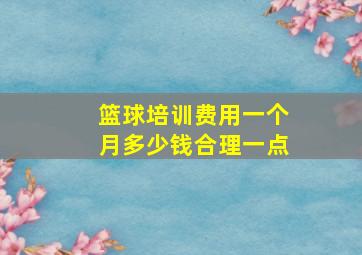 篮球培训费用一个月多少钱合理一点