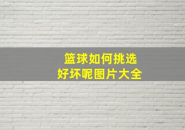 篮球如何挑选好坏呢图片大全