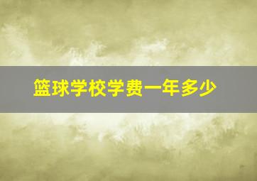 篮球学校学费一年多少