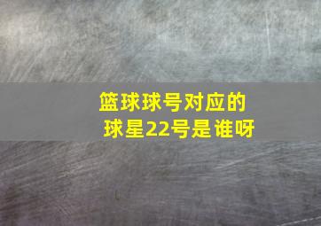 篮球球号对应的球星22号是谁呀