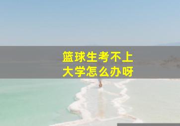 篮球生考不上大学怎么办呀