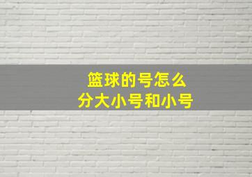 篮球的号怎么分大小号和小号