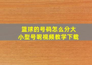 篮球的号码怎么分大小型号呢视频教学下载