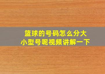 篮球的号码怎么分大小型号呢视频讲解一下