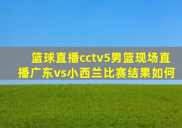 篮球直播cctv5男篮现场直播广东vs小西兰比赛结果如何