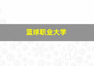 篮球职业大学