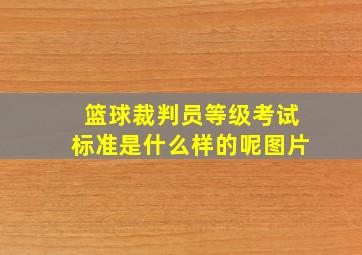 篮球裁判员等级考试标准是什么样的呢图片