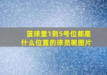 篮球里1到5号位都是什么位置的球员呢图片