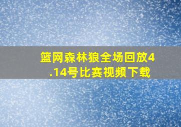 篮网森林狼全场回放4.14号比赛视频下载