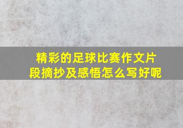 精彩的足球比赛作文片段摘抄及感悟怎么写好呢