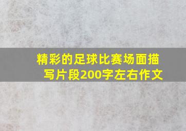 精彩的足球比赛场面描写片段200字左右作文