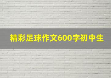 精彩足球作文600字初中生