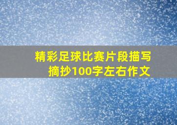 精彩足球比赛片段描写摘抄100字左右作文