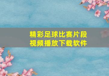 精彩足球比赛片段视频播放下载软件