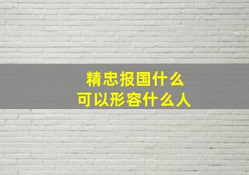 精忠报国什么可以形容什么人